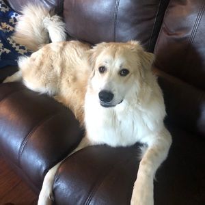 Meet your Posher, Stephen